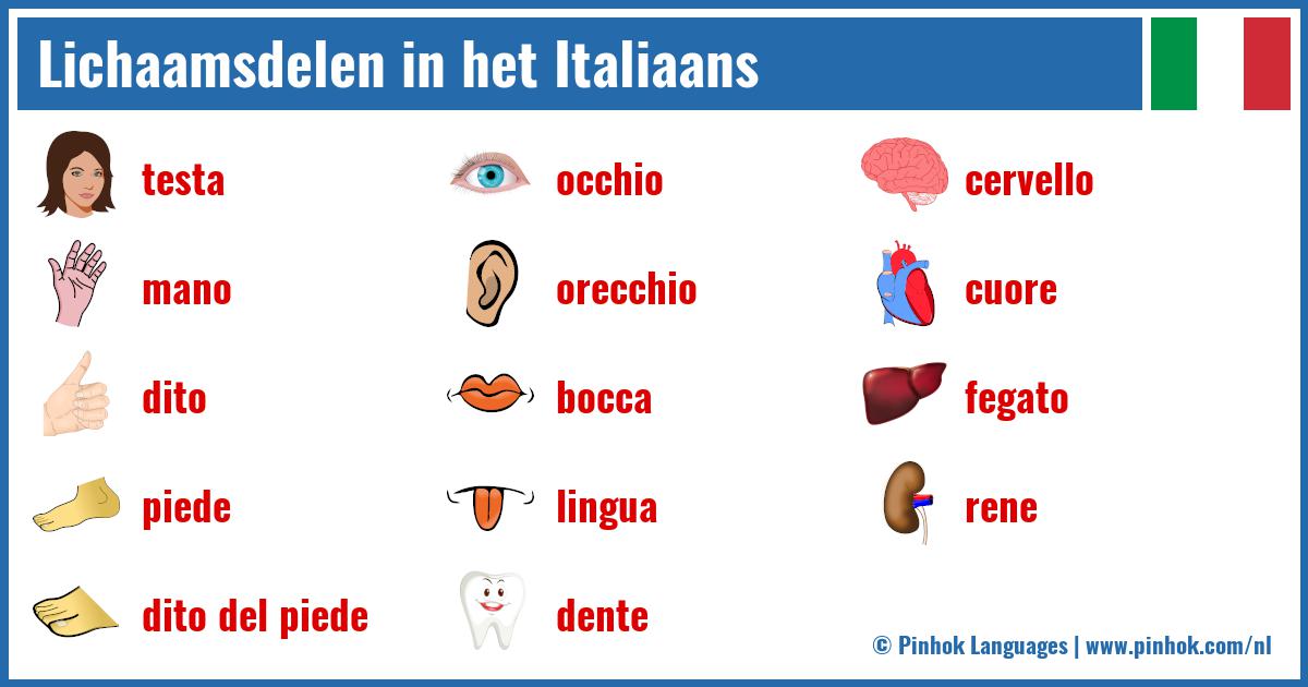 Lichaamsdelen in het Italiaans