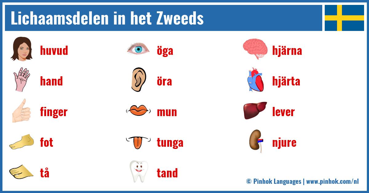 Lichaamsdelen in het Zweeds