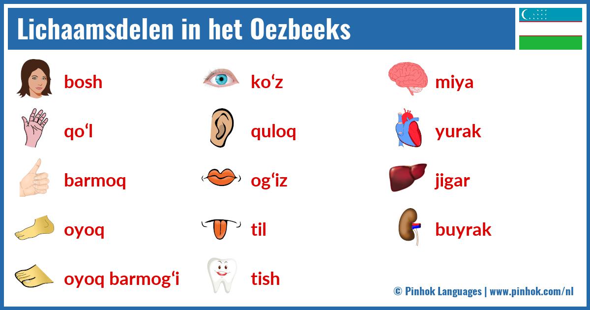 Lichaamsdelen in het Oezbeeks