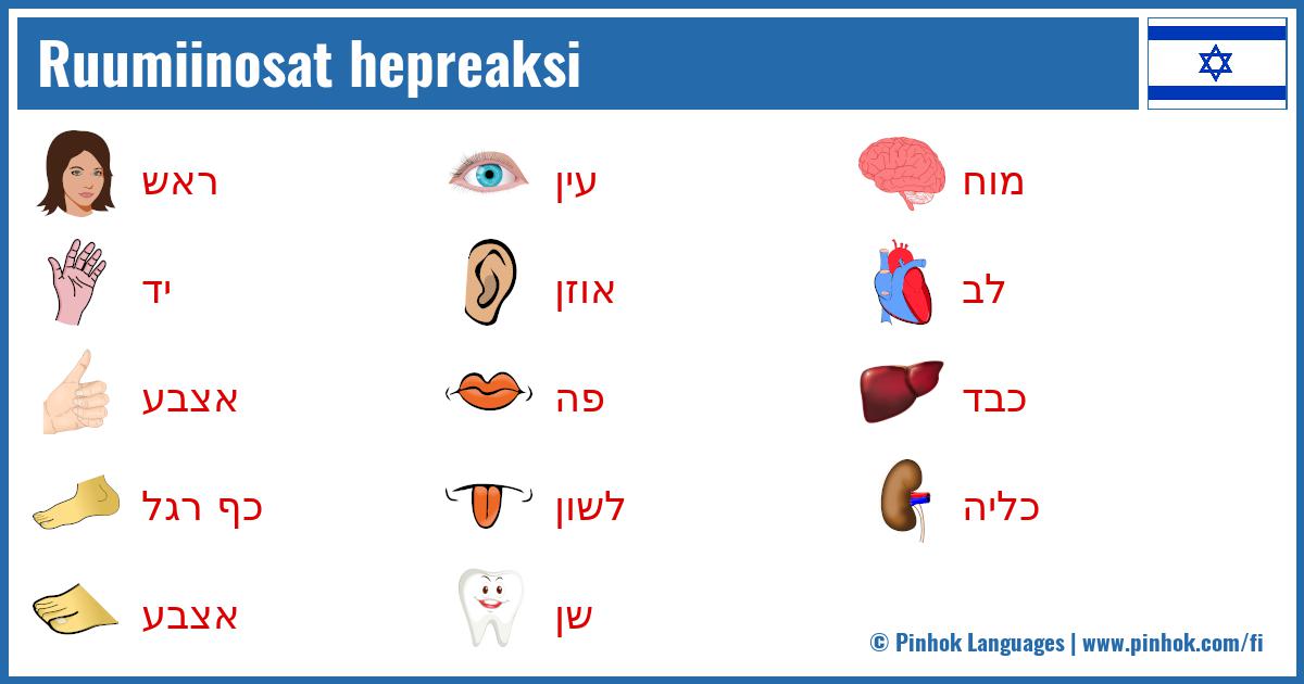 Ruumiinosat hepreaksi