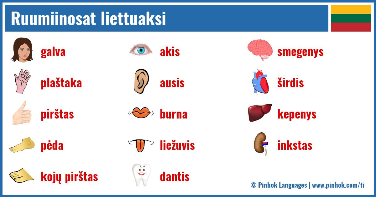 Ruumiinosat liettuaksi