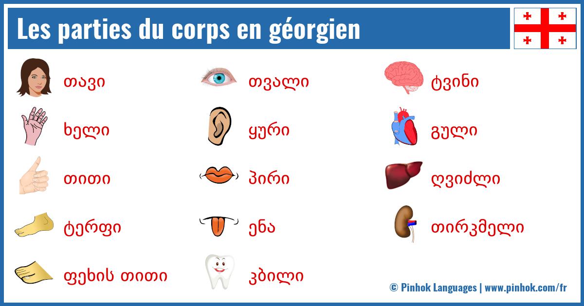 Les parties du corps en géorgien