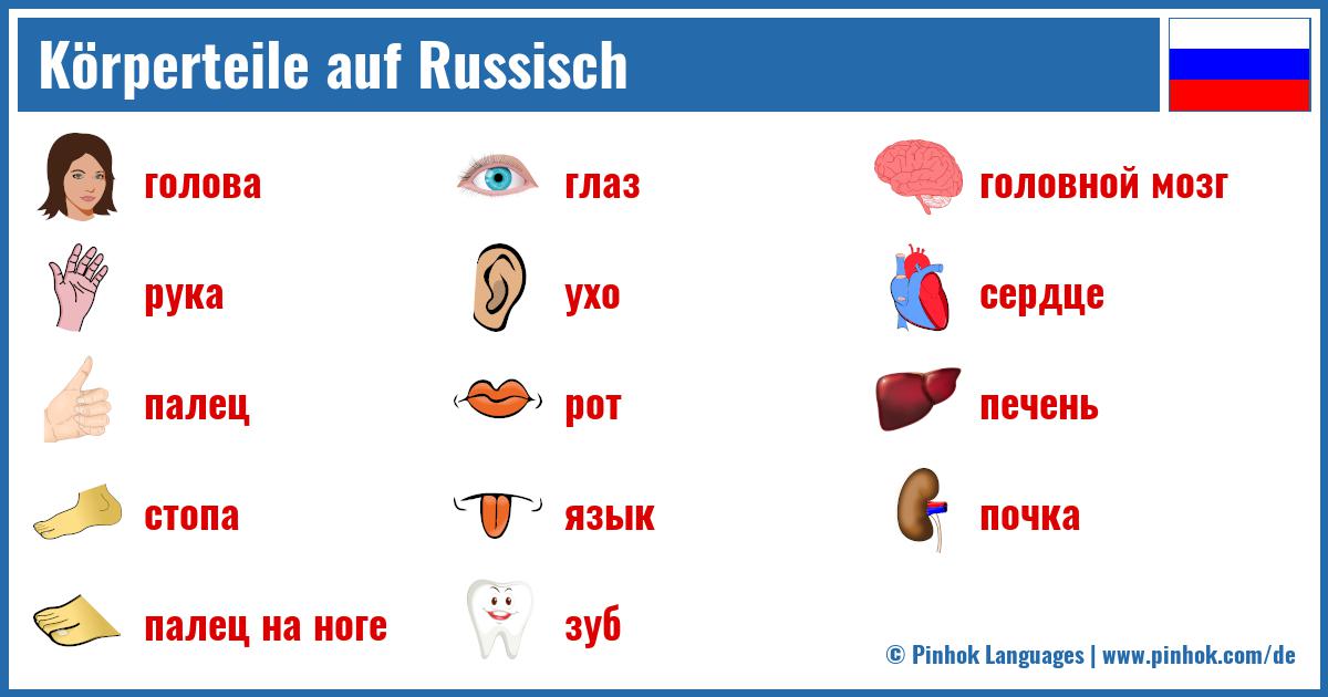 Körperteile auf Russisch