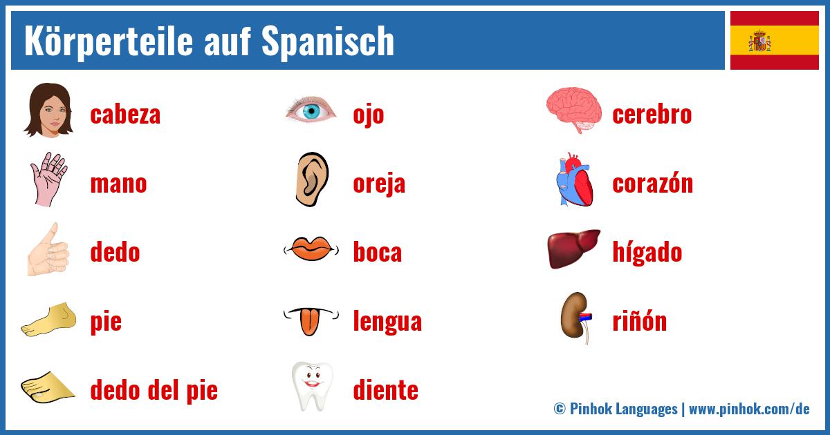 Körperteile auf Spanisch