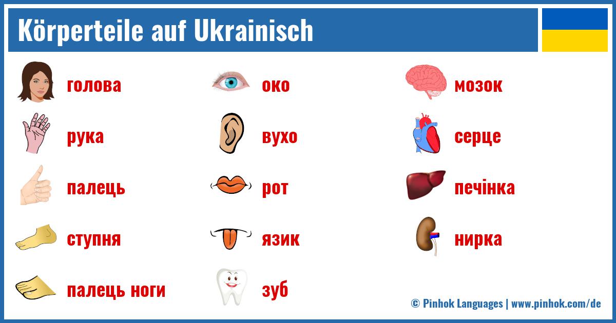 Körperteile auf Ukrainisch