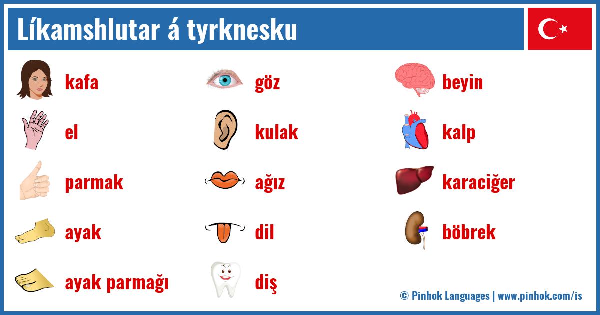 Líkamshlutar á tyrknesku