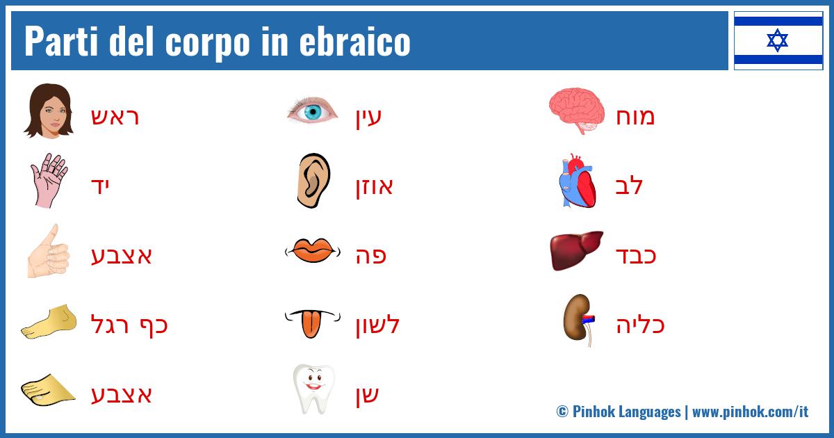 Parti del corpo in ebraico