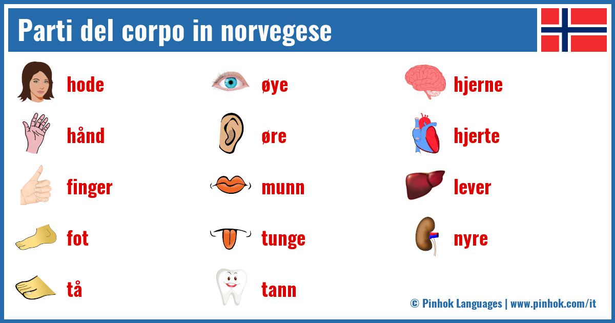 Parti del corpo in norvegese