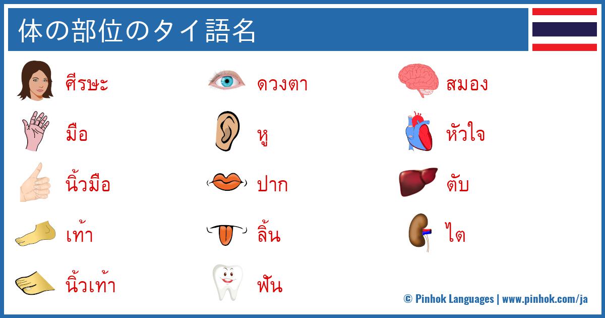 体の部位のタイ語名