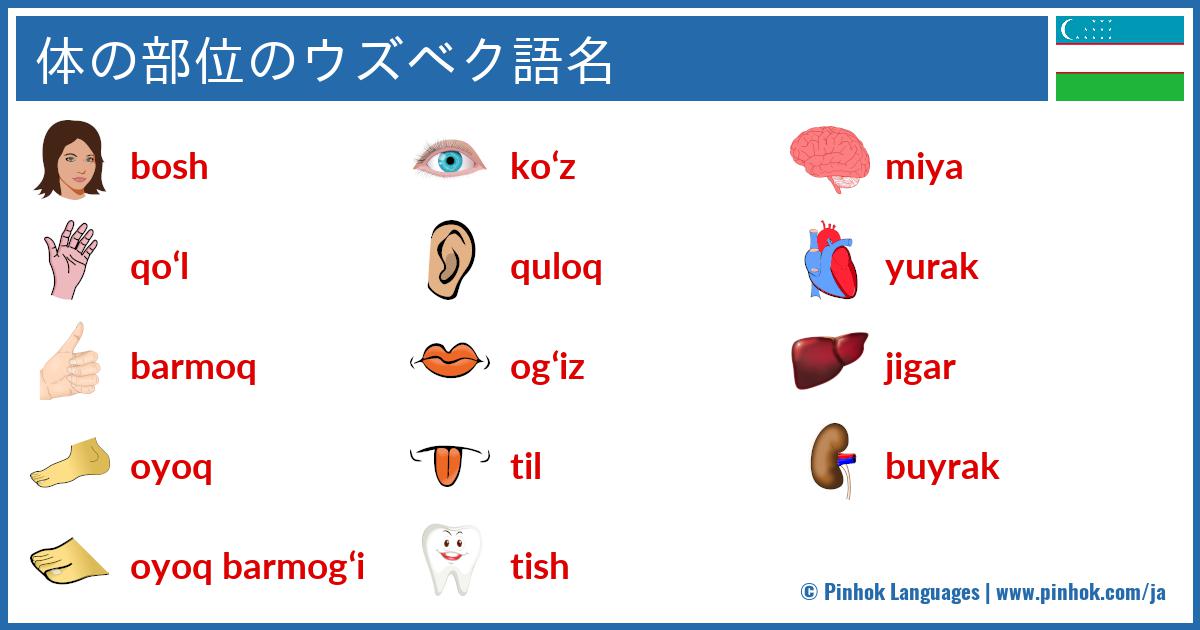 体の部位のウズベク語名