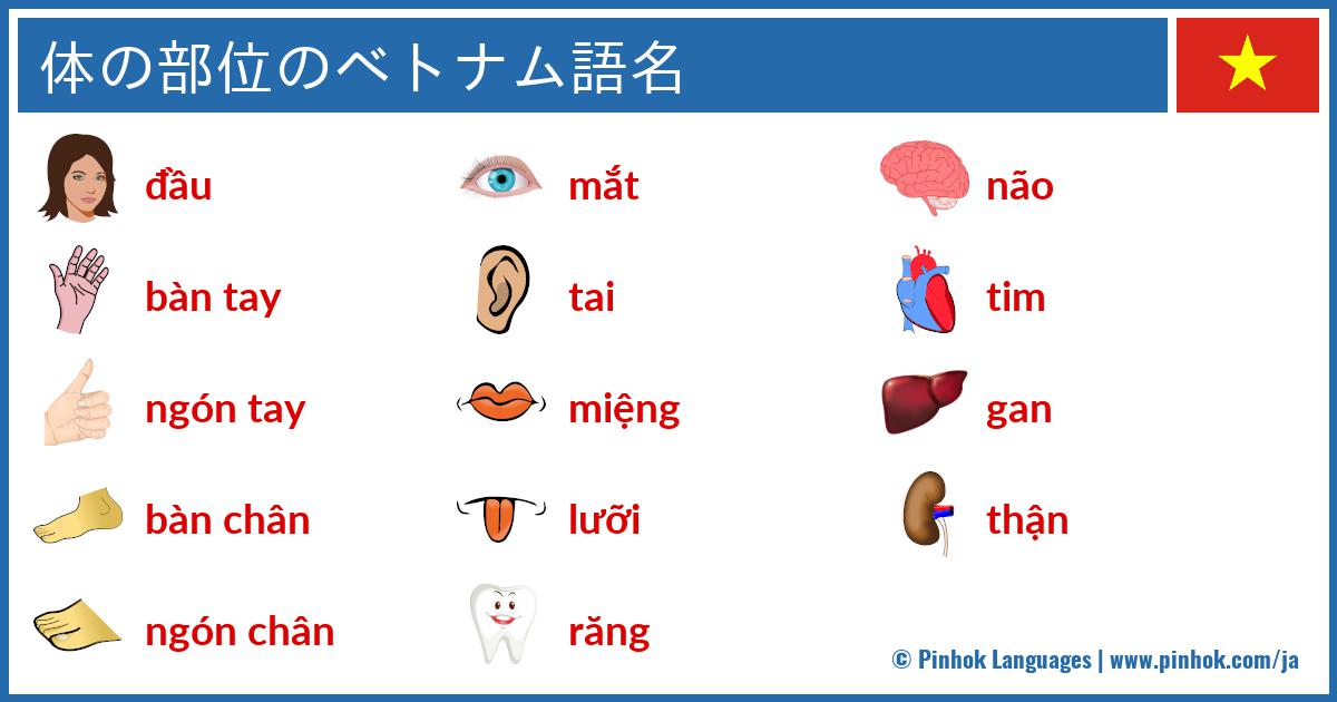 体の部位のベトナム語名