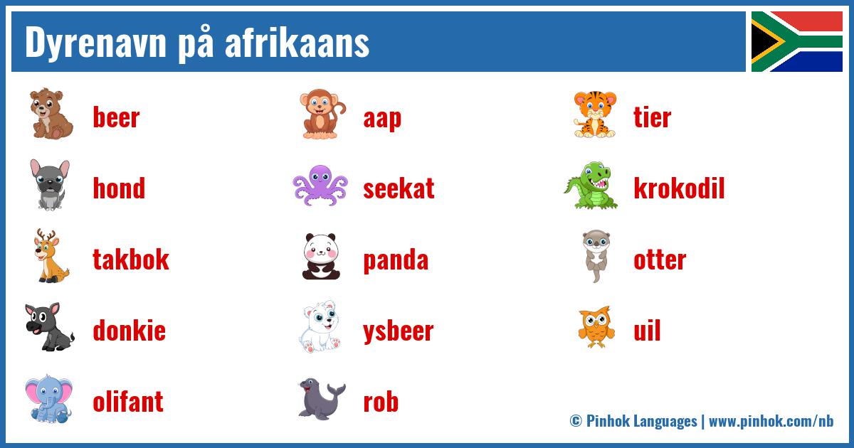 Dyrenavn på afrikaans