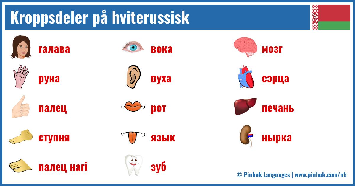 Kroppsdeler på hviterussisk