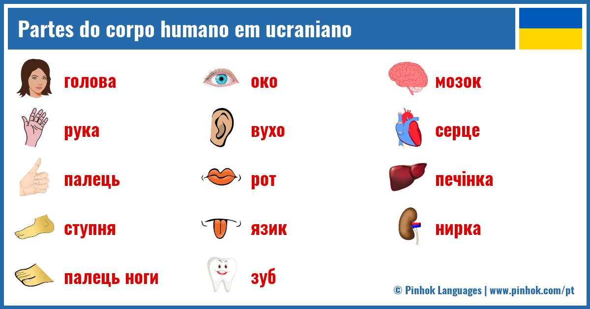 Partes do corpo humano em ucraniano