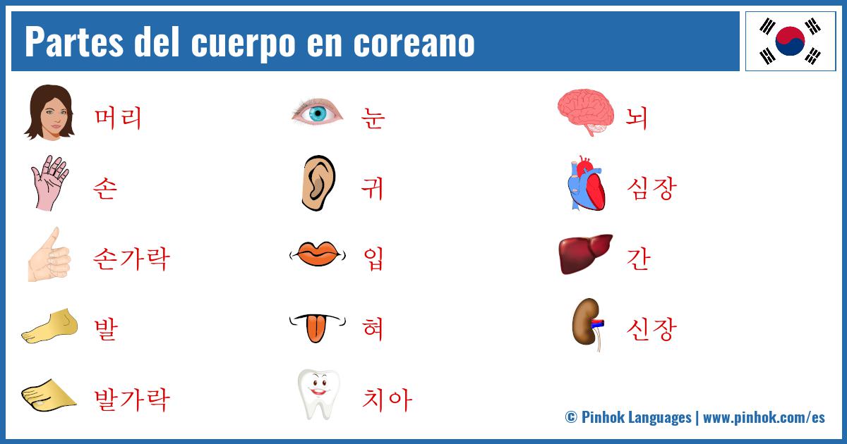 Partes del cuerpo en coreano