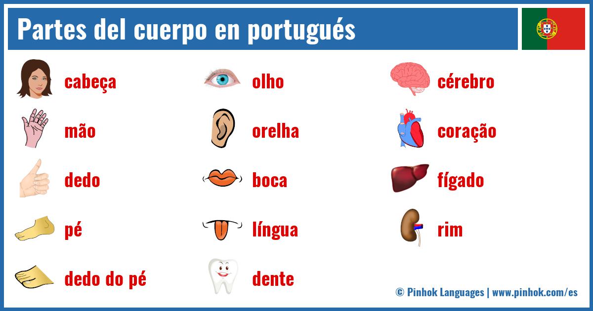 Partes del cuerpo en portugués