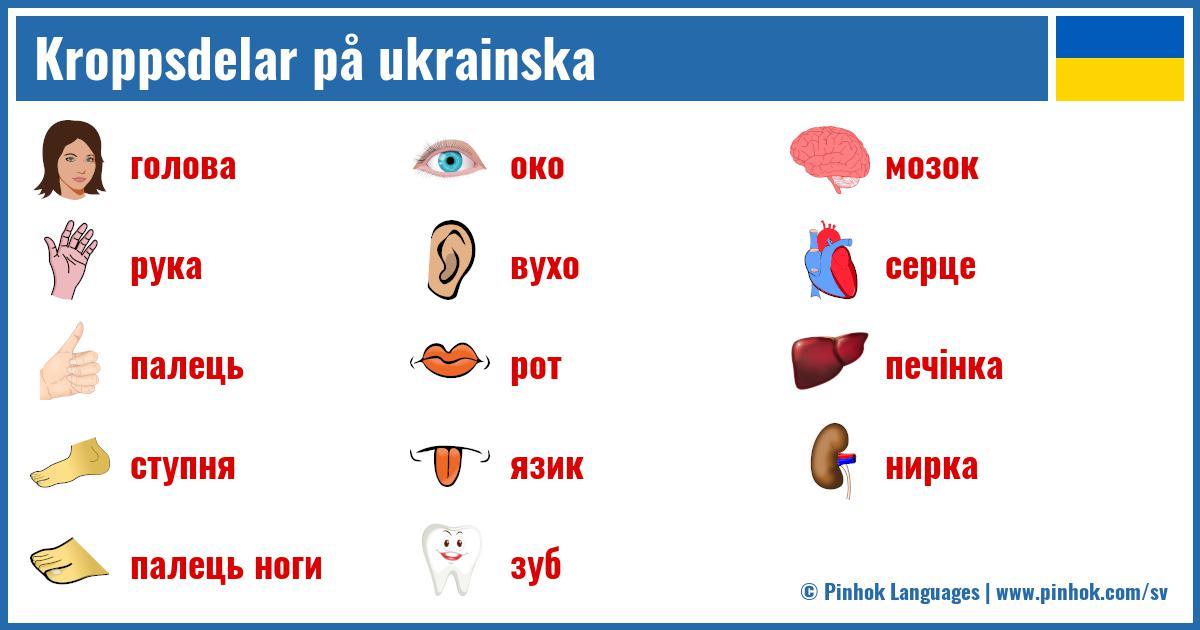 Kroppsdelar på ukrainska